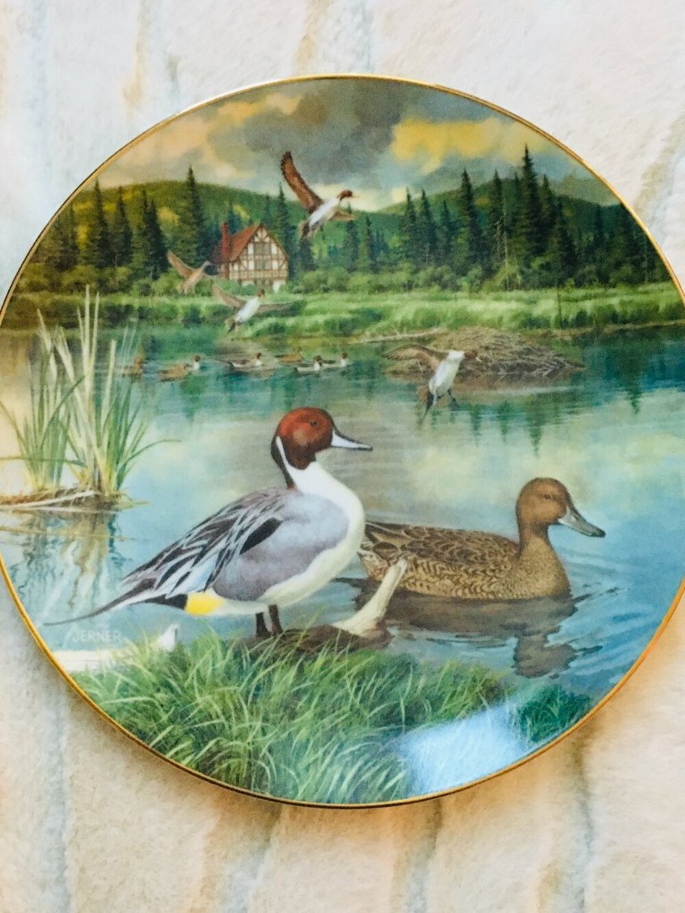Knowles The Pintail Plate 1986 | Bart Jerner Living With Nature Ducks